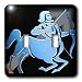 Zodiac Signs Horoscope - Sagittarius Zodiac Sign - Light Switch Covers - double toggl...