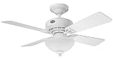 Hunter Ceiling Fans 23943 Ashlyn Fan - White with Light Kit Indoor Fan 42 White Blades