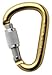 Sporting Goods : Petzl Attache Screw-Lock Carabiner