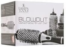 Calista Tools BLOWOUT Brush Set, 1 set