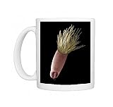Aster seed, SEM Photo Mugs