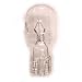 Genuine Kirby Light Bulb for G3, G4, G5, G6, Ultimate G, Diamond and Sentria