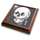 Taiche - Acrylic Painting - Skulls - All Is Vanity - ghost, halloween, optical illusion, paranormal, seasonal, silhouette, skeleton - Trivets
