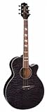 Jasmine ES450C NEX Cutaway Acoustic-Electric Guitar with Free Hardshell Case - Charcoal Quilt