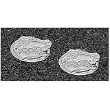 Logo Art Florida Gators Sterling Silver Team Logo 5/16 Post Earrings