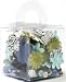 Making Memories 5th Avenue Blossoms and Buttons 160 Pieces Boxed, Sophia