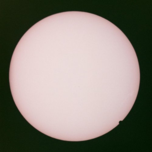 John Maus