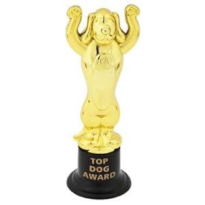 Amazon.com: Top Dog Award Trophies - 12 ct