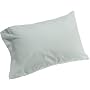 Pinzon 190-Gram Velvet Flannel Standard Pillowcase, Sage Green