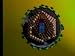 AIDS : Investigations in Microbiology