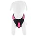 Pawtitas Reflective Dog Harness - Padded, Comfort Control for Walks or Running - Medium Pink