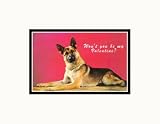 'Won't You be My Valentine?' Quizzical German Shepherd Pre-Matted Print, 14 x 11