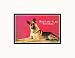 'Won't You be My Valentine?' Quizzical German Shepherd Pre-Matted Print, 14 x 11