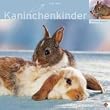 Kaninchenkinder 2007 Broschurkalender. Multipicture mit Texten & Poster