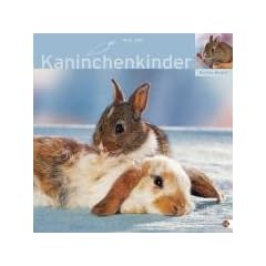 Kaninchenkinder 2007 Broschurkalender. Multipicture mit Texten & Poster