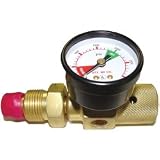 PRE-SET GAS FLOW REGULATOR 100PSI-VCT200-22-227NG