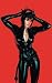 Catwoman 'Meow!' Fine Art Giclee Print by Adam Hughes 26 x 17