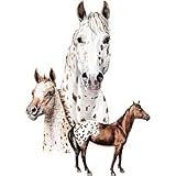 Appaloosa Adult T-Shirt