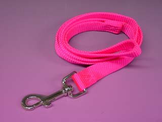 HAMILTON NYLON DOG LEAD HOT PINK 3 4 X 4'