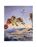 Sting Caused By The Flight Of A Bee by Salvador Dali Art Print Poster 11 x 14