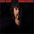 Steve Kilbey - Remindlessness