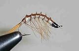 Michigan Wiggler Natural #8