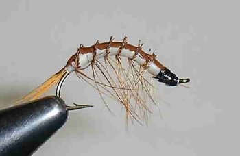 Michigan Wiggler Natural #8