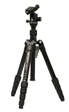 Benro A2690TB1 Travel Angel Stativ