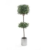 Review i-koncepts Ltd  / 6ft Bayleaf Topiary with Natural Stem - Artificial Plant