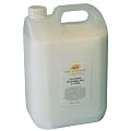 CHILDRENS WASHABLE PVA GLUE 5 LITRES E8