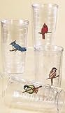 Tervis 16oz. Songbirds Tumbler Set CLEAR