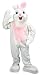 NLP RABBIT MASCOT
