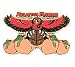 Atlanta Hawks City Pin