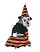 Bewitching Pet Dog Orange Witch Halloween Costume