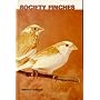 Society Finches