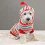 MEDIUM - Striped Hoodie Sweater - BRIGHT STRIPES DOG SWEATER