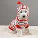 MEDIUM - Striped Hoodie Sweater - BRIGHT STRIPES DOG SWEATER