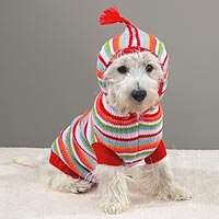 Childrens Toyshop  Pet Supplies : Casual Canine Striped Hoodie Sweaters - X-SMALL