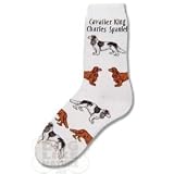 Cavalier King Charles Poses Socks