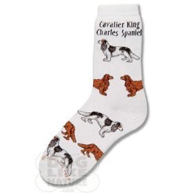 Buy For Bare Feet Cavalier King Charles Poses Socks by For Bare Feet