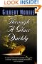 Through a Glass Darkly