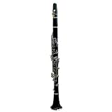 Austin Bazaar B Flat Student Clarinet with Accessories - Black (Blowout Sale - Limited Time Only!)