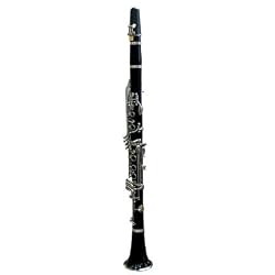 Barcelona 200 Series B-Flat Clarinet with Case, Polishing Cloth, Gloves, and Cork Wax - Black