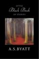 Little Black Book of Stories (Vintage International)