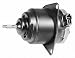 Automotive : Four Seasons 35365 Blower Motor