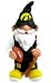Iowa Hawkeyes 11