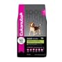 Eukanuba Adult Maintenance Small Bite, 20-Pound