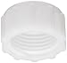 Thogus Nylon Tube & Hose Fitting, Cap, White, 3/4