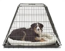 Double door car cage medium
