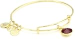 Alex and Ani "Bangle Bar" Birthstone...